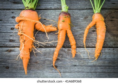 Trendy Ugly Organic Carrot From Home Garden On Barn Wood Table, Australian Grown