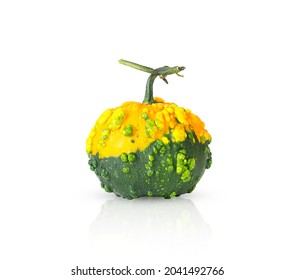 Trendy ugly organic yellow and green pumpkin isolated on white background