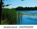 The Trent Severn Waterway at Trent University Nature Area