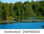 Trent Severn waterway at Trent University Nature Area