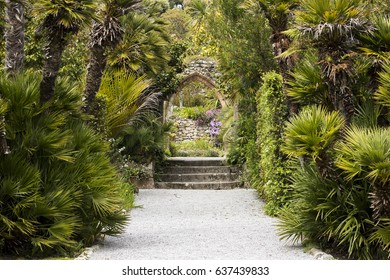 Tresco Abbey Gardens In The Scilly Isles