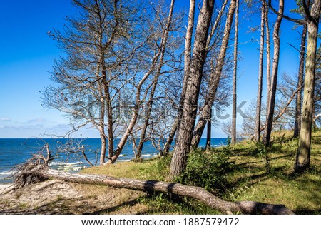 Similar – Foto Bild Ostseeküste in Polen