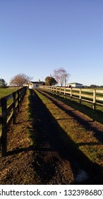 Trevelyan's Kiwifruit At Te Puke