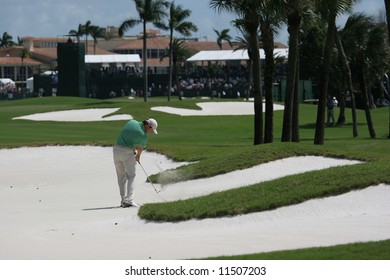 Trevor Immelman (south Africa) Winner Of Ther 2008 Golf Masters In Augusta, Georgia, Here At Doral, Miami