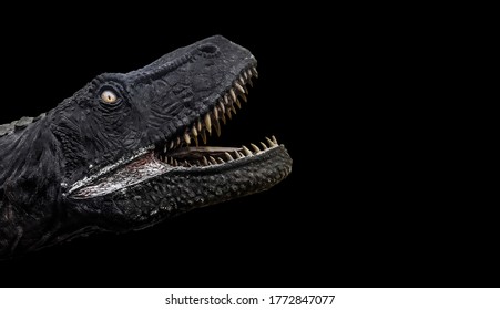 Trex Dinosaur Head With Mouth Open Isolated Over Black Background