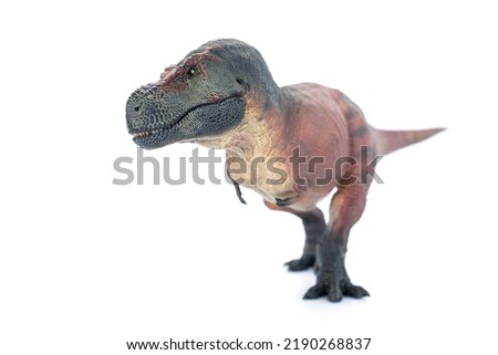 T-Rex King Dinosaurs theropod of cretaceous. Tyrannosaurus rex isolated on white background.
