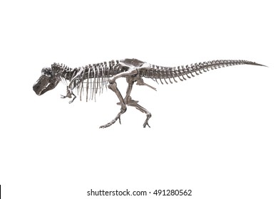 Imágenes Fotos De Stock Y Vectores Sobre Dinosaurhole - roblox t rex skeleton