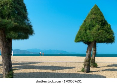 Triangle Crowned Trees On Sandy Beach And A Couple In Love By The Sea