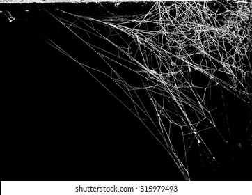 Triangle horror cobweb or spider web isolated on black background,horizontal photo