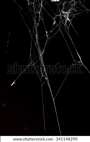 Triangle horror cobweb or spider web isolated on black background,vertical photo