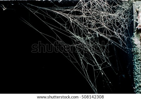 Triangle horror cobweb or spider web isolated on black background,horizontal photo
