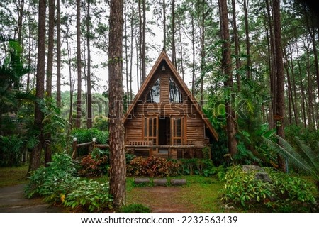 Triangle house made of wood in the forest in the rainy season