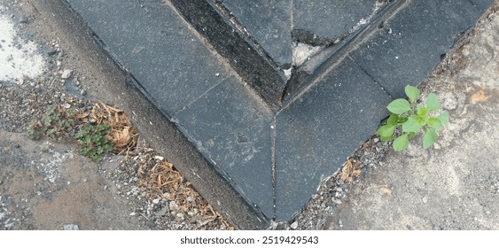 Triangle Shape Photo, solid shape