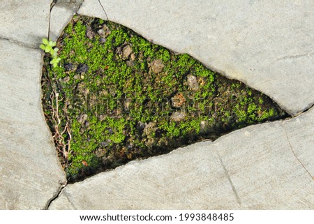 Triangular hole in a wall.