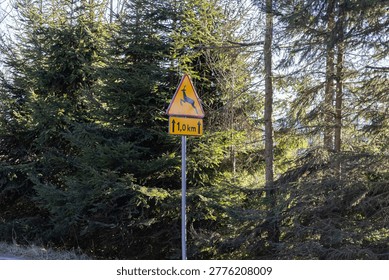 A triangular warning sign featuring a jumping deer silhouette and a 1.0 km distance placard is set against evergreen coniferous trees to highlight potential road hazards and wildlife in rural areas