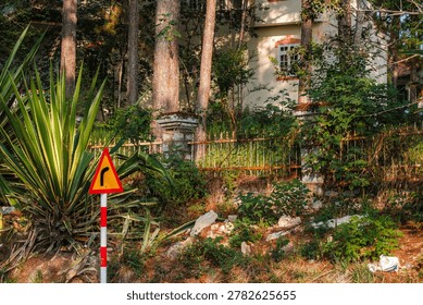 A triangular warning sign stands on a grassy slope next to agave plants and tall pine trees obscuring a two-story residential building.