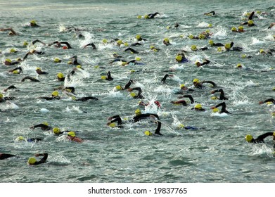 Triathletes Swimming In The Ocean