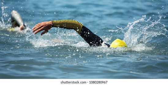 Triathlon Long Distance Swimming, People In Wetsuit Swimming At Triathlon