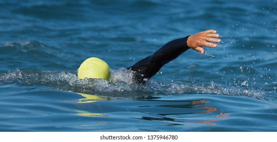 Triathlon Long Distance Swimming, People In Wetsuit Swimming At Triathlon