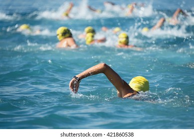 Triathlon swimmers inthe open sea,view from behind