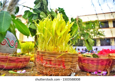 Tribal People Celebrating Karma Puja Festival With Seedlings.