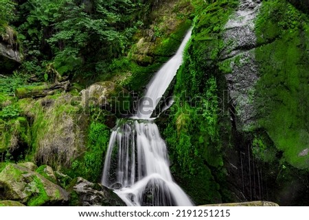 Similar – Image, Stock Photo Bear Guard Gorge Nature