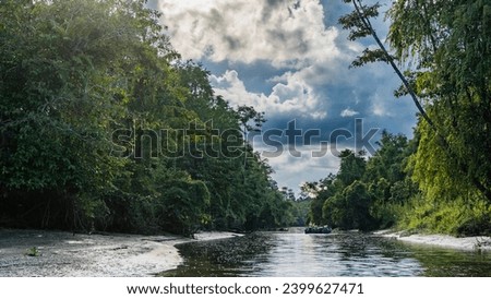 A tributary of the Kinabatangan River in the protected rainforest. Impenetrable thickets of lush tropical trees on the shores. A boat with tourists is floating in the riverbed. Clouds in the sky.