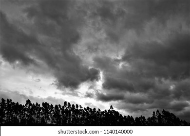 Tribute To Ansel Adams,artistic Black And White Photography Off The Sky Of Galicia During The Storm Explosive Cyclogenesis Klaus,