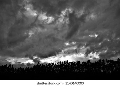 Tribute To Ansel Adams,artistic Black And White Photography Off The Sky Of Galicia During The Storm Explosive Cyclogenesis Klaus,