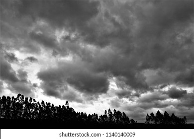 Tribute To Ansel Adams,artistic Black And White Photography Off The Sky Of Galicia During The Storm Explosive Cyclogenesis Klaus,