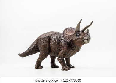 トリケラトプス の写真素材 画像 写真 Shutterstock