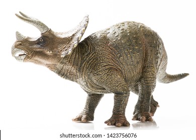 Triceratops Plastic Figurine Isolated White Background Stock Photo ...