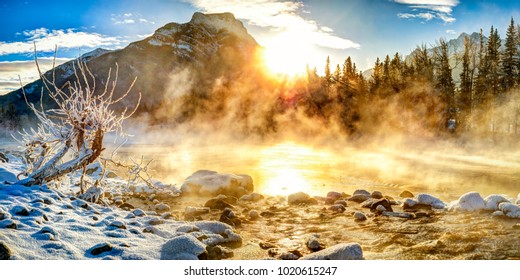 Trickles of water heard as the creek flows in Exshaw, Alberta. What a wonderful treat it was to see the sun peak through the rolling fog from it's warmth. Heart mountain hides gently behind the trees  - Shutterstock ID 1020615247