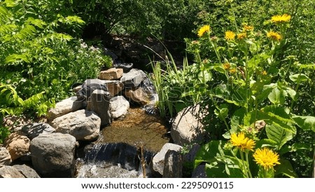 a trickling stream with decorative flowers at the botanical gardens  