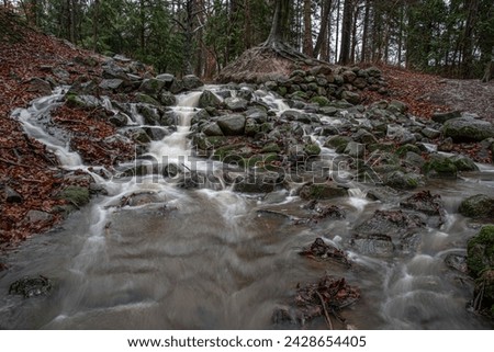 trickling stream in a forest