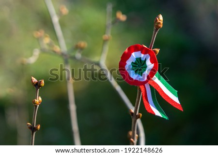 tricolor rosette on spring tree with bud symbol of the hungarian national day 15th of march Stock photo © 