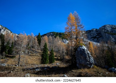 Triglav Lakes Landscape In Slovenia