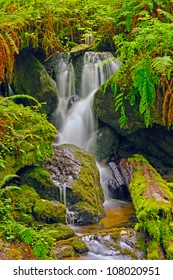 Trillium Falls In Redwood National Park In California