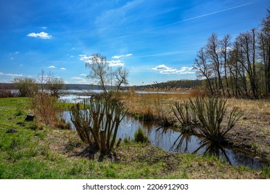 Trimmed Trees Alongside A Ditch Between Lakes 