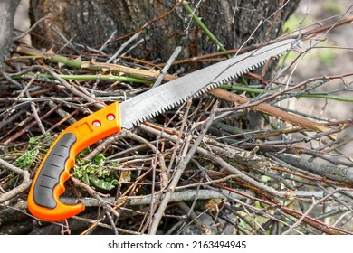 Trimming Dry Wood. A Bunch Of Dry Branches.