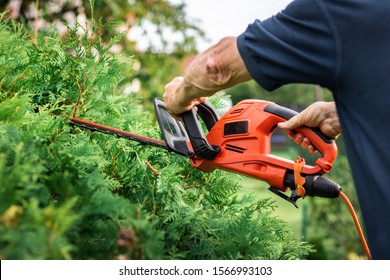 electric bush clippers