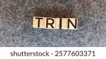  TRIN Concept Featured on Wooden Cubes Against a Grey Background. 