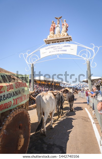 Trindade -\
Goiás - Brazil 04/07/2019: Ox cart entering the Carreiródromo\
during the traditional pilgrimage of ox\
cars