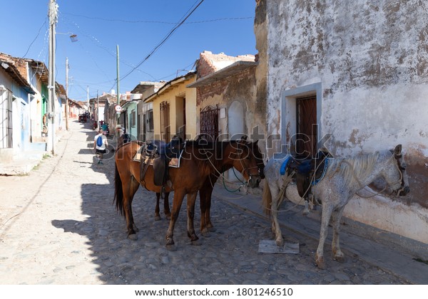 Trinidad, Cuba - 2 February 2015: Horses as a\
traditional transport
