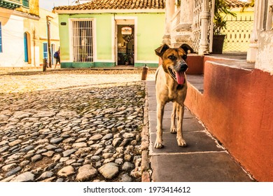 Trinidad, Cuba - July 15 2018 :A Former Spanish Colonial Town Still In The 18th Century With Cobble Stone Streets. The Patio Courtyard Of The Old Colonial Museum And The Shadow Play At The End 