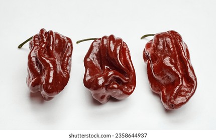 trinidad moruga scorpion chocolate extremely hot peppers variety