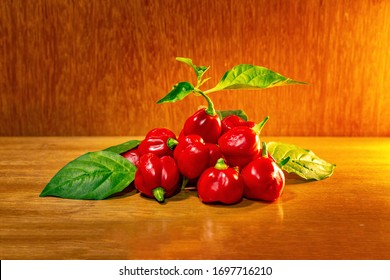 The Trinidad Scorpion Butch T pepper is Capsicum chinense cultivar that is among the most piquant peppers in the world 