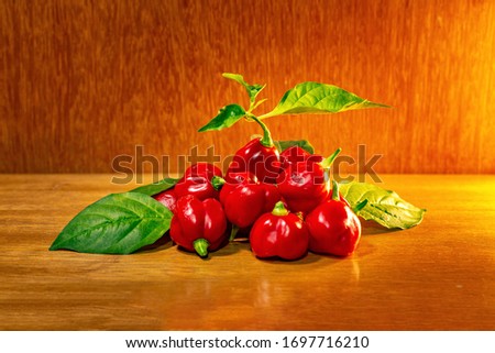 The Trinidad Scorpion Butch T pepper is a Capsicum chinense cultivar that is among the most piquant peppers in the world.