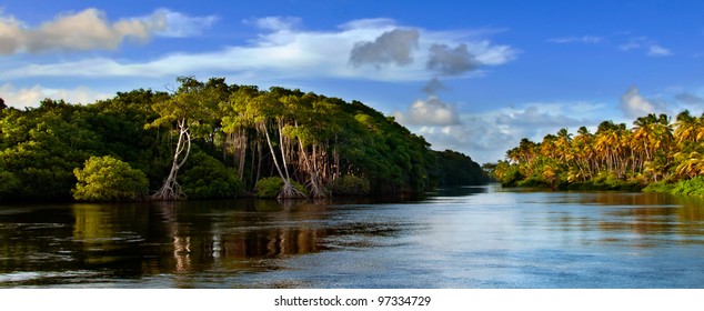 Trinidad and Tobago - mangrove landscape panorama