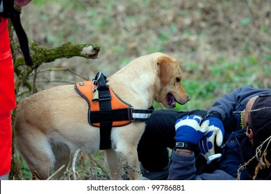 TRINO VERCELLESE, ITALY- MARCH 10: Civil Defense During Dog Handling On March, 10, 2012 In Trino Vercellese, Italy. Rescue Workers Trained Dogs To Search And Save Missing Person